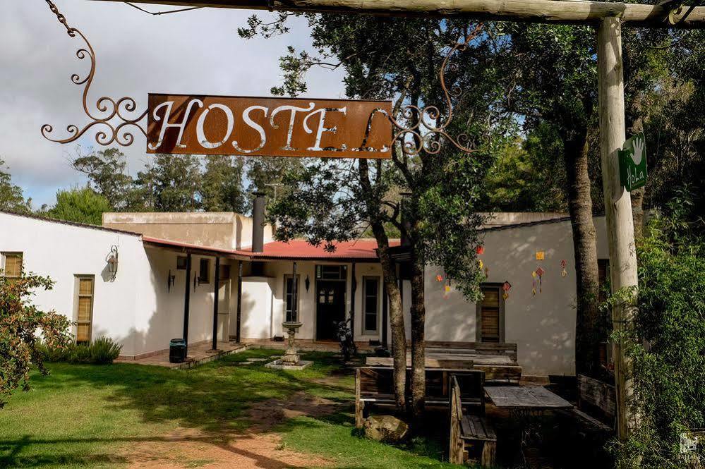 Hostel Punta Ballena Bar Punta del Este Bagian luar foto
